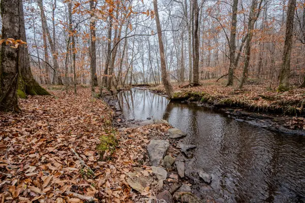 0 Kimbrell Rd, Westpoint, TN 38486