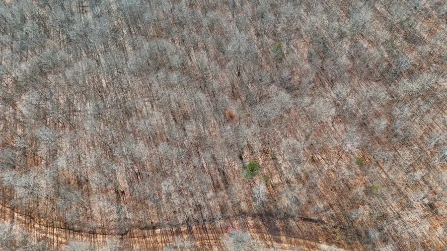 0 Pigpen Hollow Rd, Waynesboro, TN 38485 - Image #3