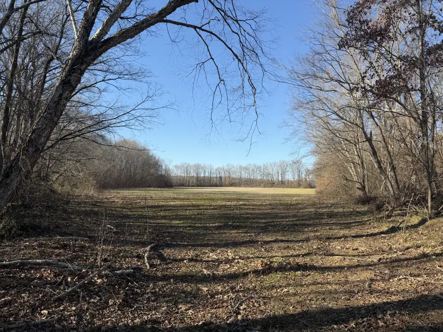 0 Harlon Iron Rd, Adamsville, TN 38310 - Image #2