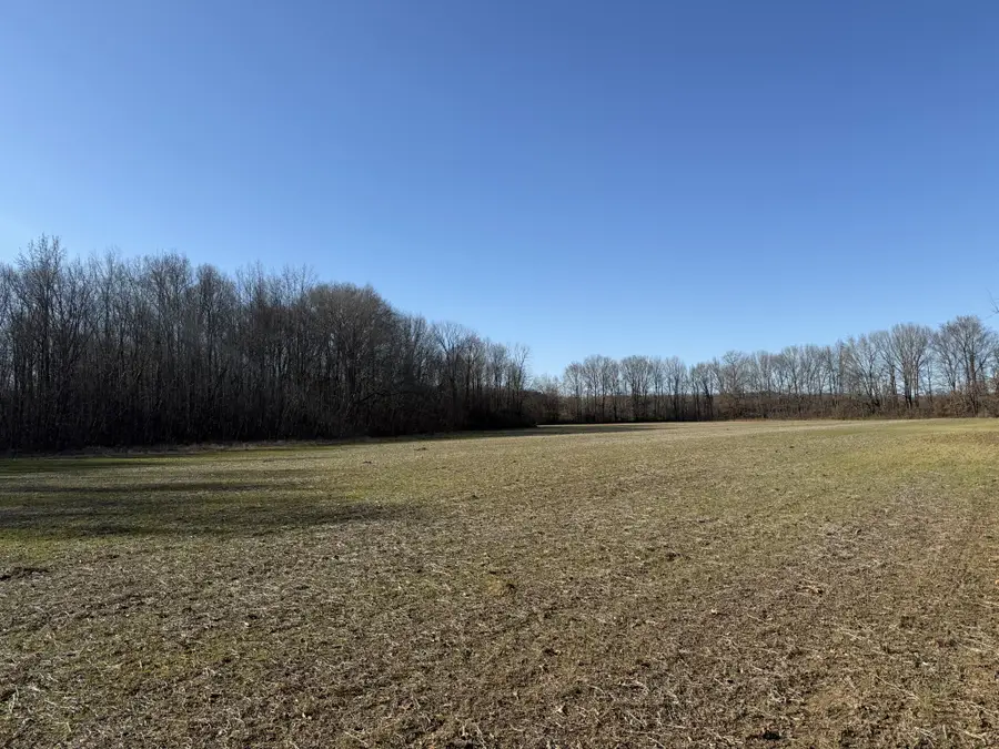 0 Harlon Iron Rd, Adamsville, TN 38310 - Image #3