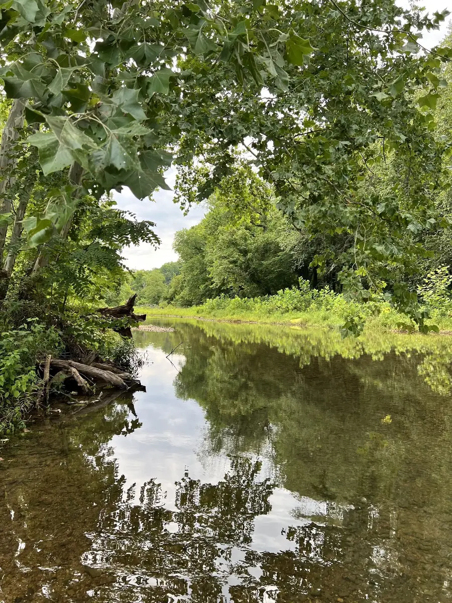 0 W Blue Creek Road, Waverly, TN 37185 - Image #3