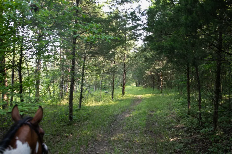 0 Oregon Road, Milton, TN 37118 - Image #2