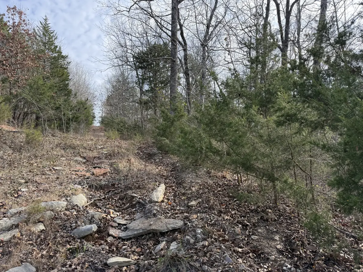 0 Riverview Rd, Clifton, TN 38425 - Image #1