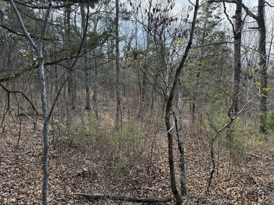 0 Riverview Rd, Clifton, TN 38425 - Image #2