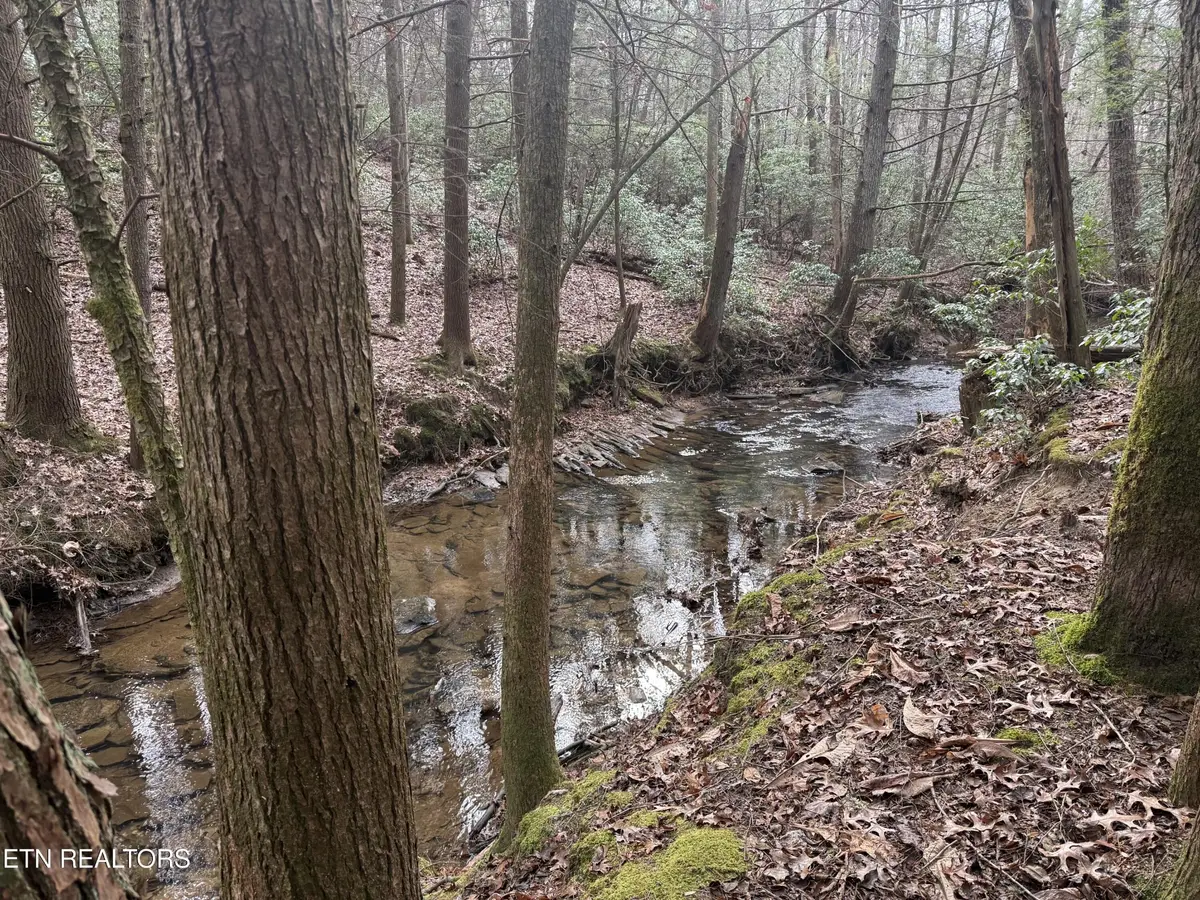 0 Street Place Loop, Monterey, TN 38574 - Image #1