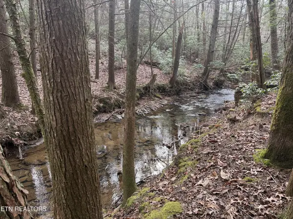 0 Street Place Loop, Monterey, TN 38574