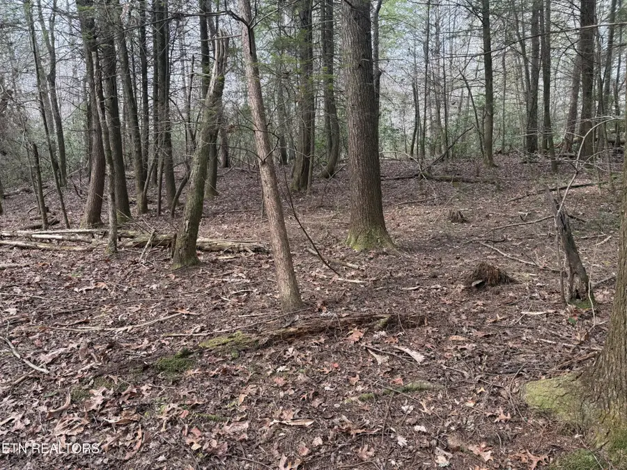 0 Street Place Loop, Monterey, TN 38574 - Image #3