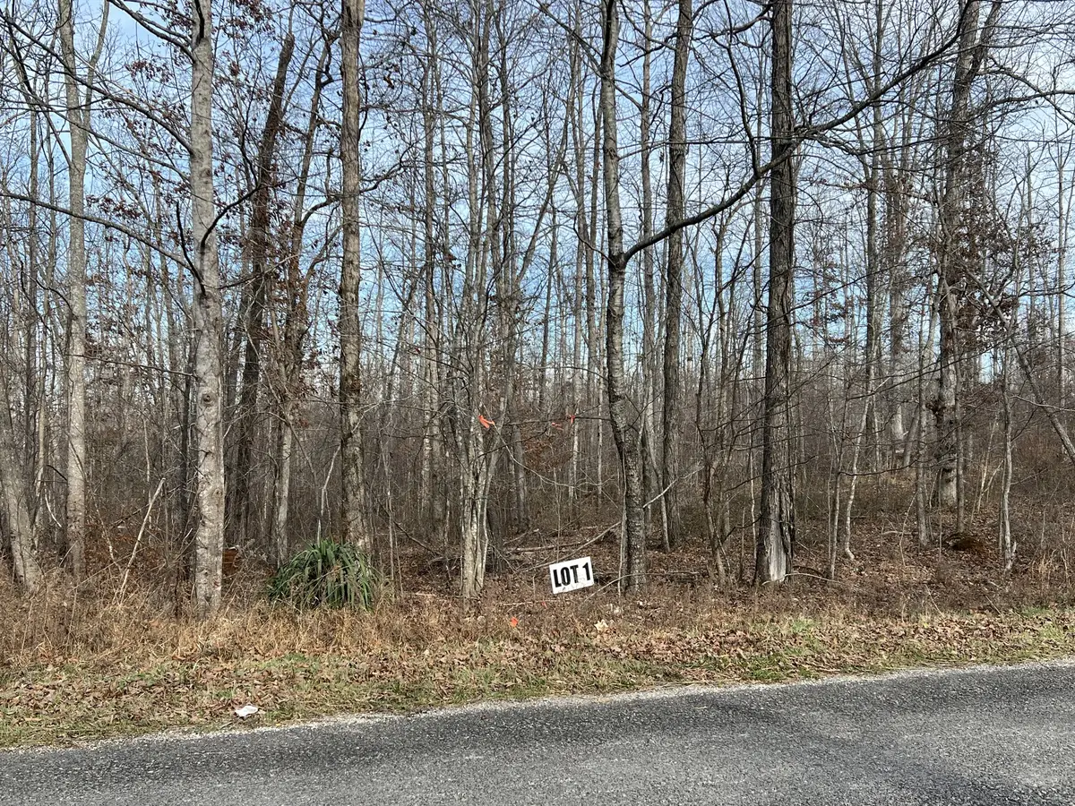 1 Slaughter Rd, Primm Springs, TN 38476 - Image #1