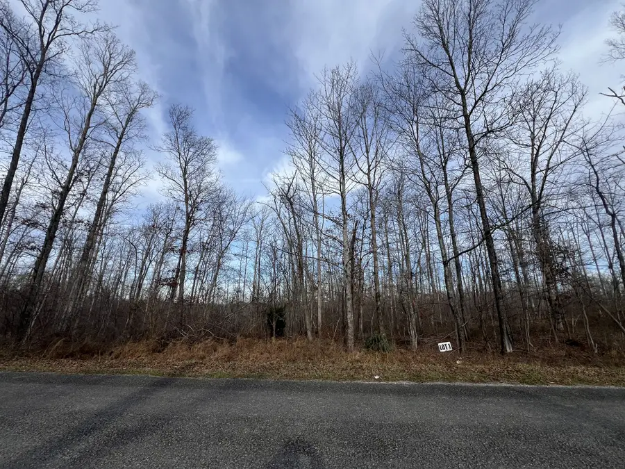 1 Slaughter Rd, Primm Springs, TN 38476 - Image #2