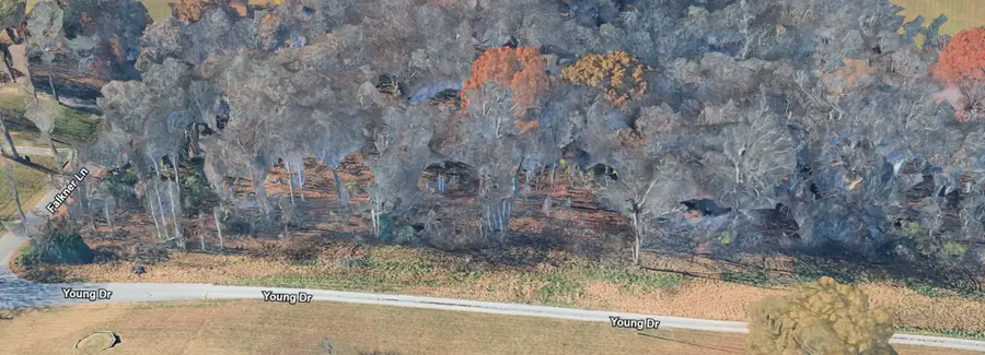 501 Young Drive, Mount Juliet, TN 37122 - Image #2