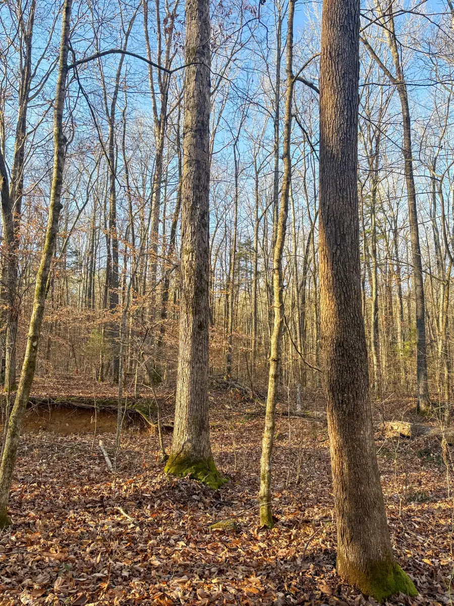 0 Only Rd, Only, TN 37140 - Image #2