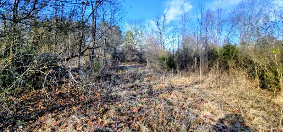 2323 College St, Spencer, TN 38585 - #3