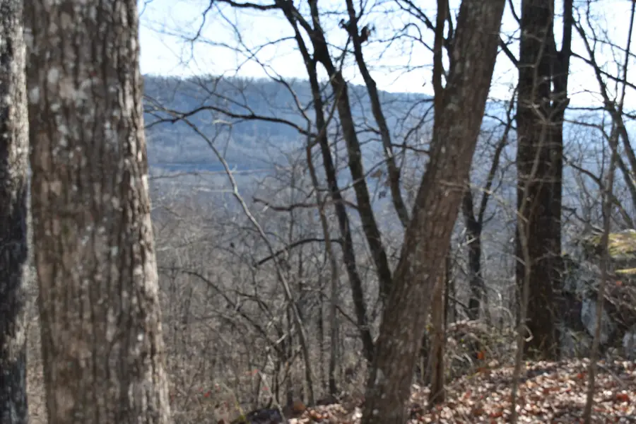 21 Laurel Lake Dr, Monteagle, TN 37356 - Image #3