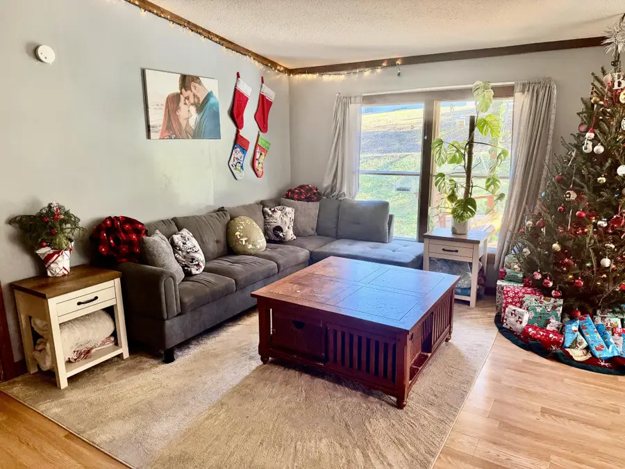 969 Mountain Vista Road, Farner, TN 37333 - Image #3