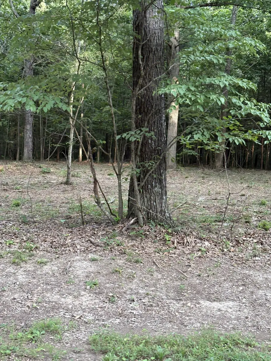 0 Iron Hill, Burns, TN 37029 - Image #3