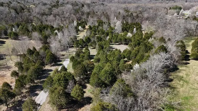 406B Harsh Ln, Castalian Springs, TN 37031 - Image #3