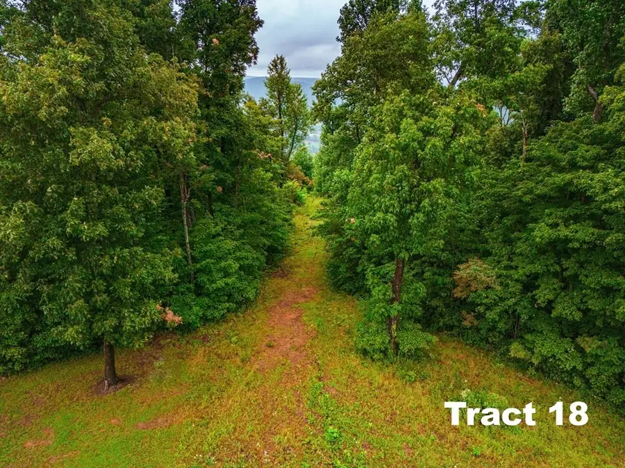 0 Bear Knob Ln, Crawford, TN 38554 - Image #2