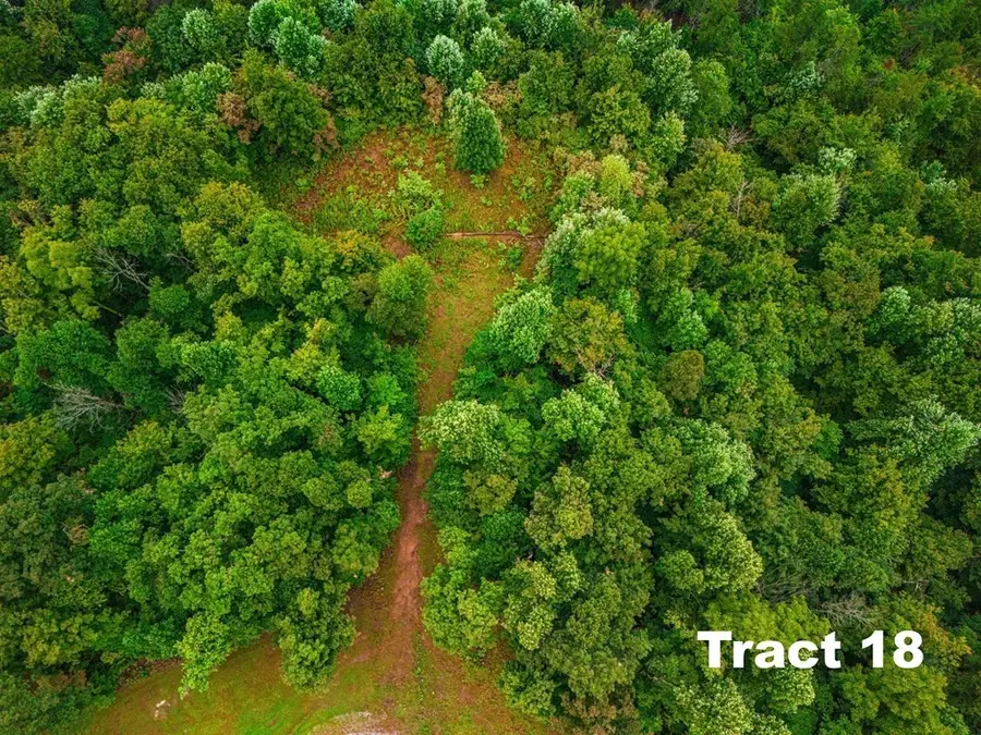 0 Bear Knob Ln, Crawford, TN 38554 - Image #3