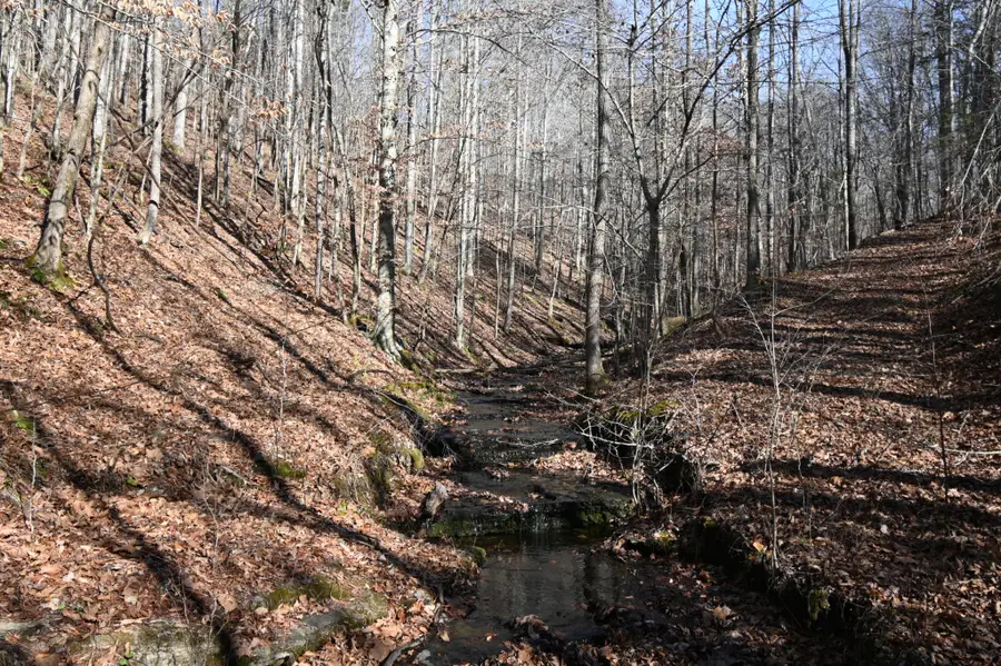 3385 Rockhouse Rd, Linden, TN 37096 - Image #2