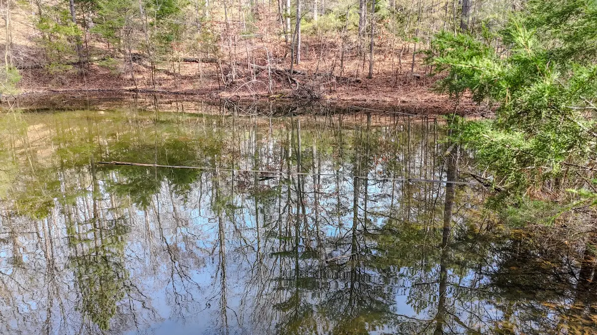 0 Meadows Rd, Portland, TN 37148 - Image #1