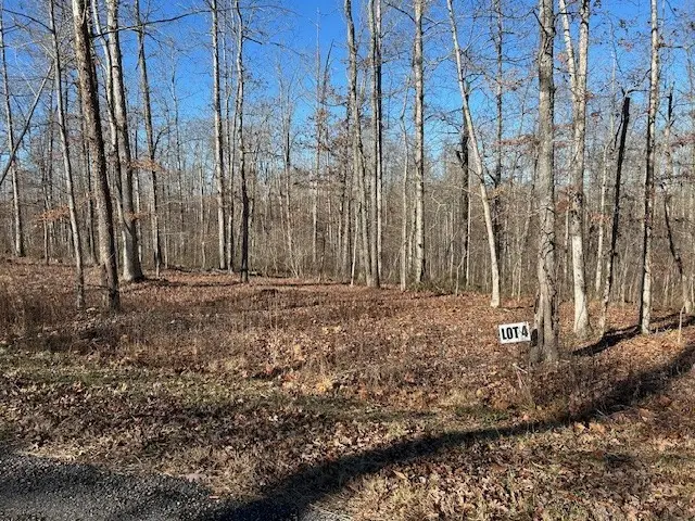 4 Slaughter Rd, Primm Springs, TN 38476 - Image #1