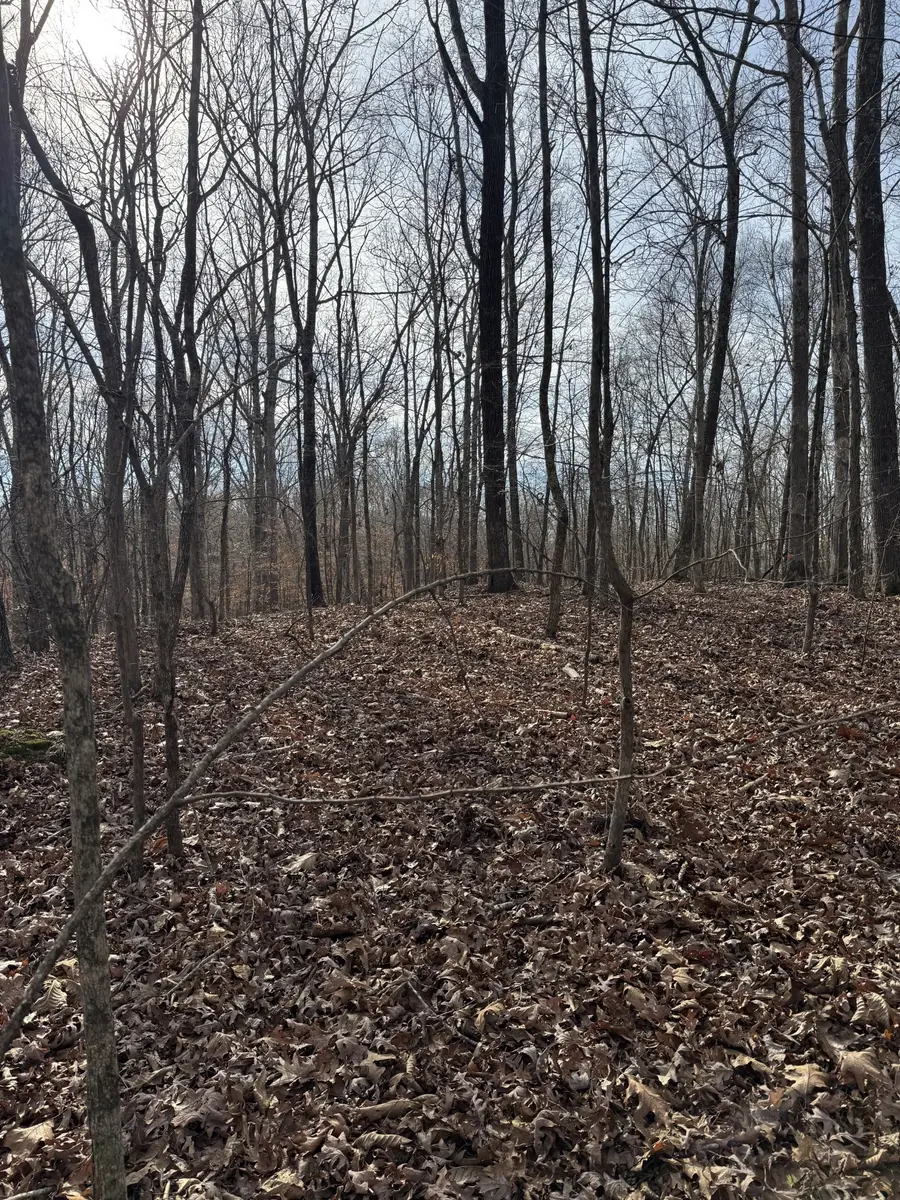 0 S Line Dr Off, Big Sandy, TN 38221 - Image #3