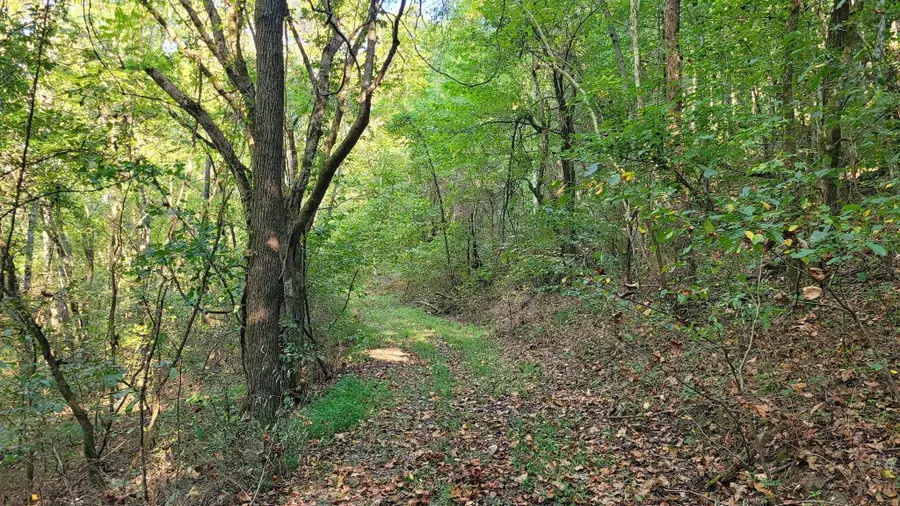 0 Hannah Br Rd, Petersburg, TN 37144 - Image #3