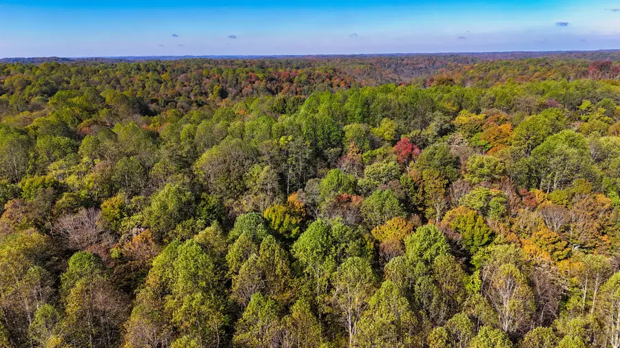 0 Patch Ln, Bethpage, TN 37022 - Image #3