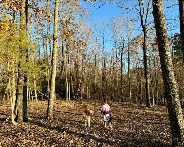 260 Lineport Rd, Bumpus Mills, TN 37028