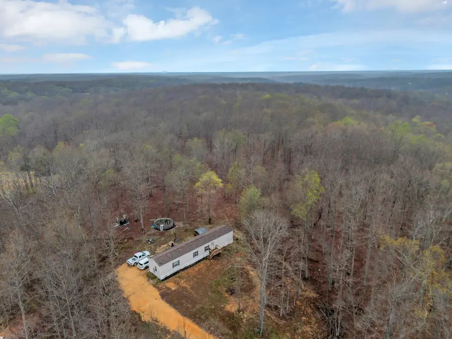 6126 Calvin Potts Rd, Primm Springs, TN 38476 - #3