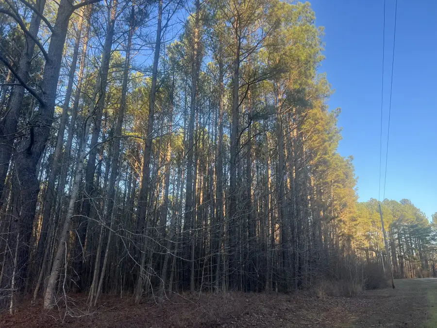 116 Zara Spook Dr, Cedar Grove, TN 38321 - #3