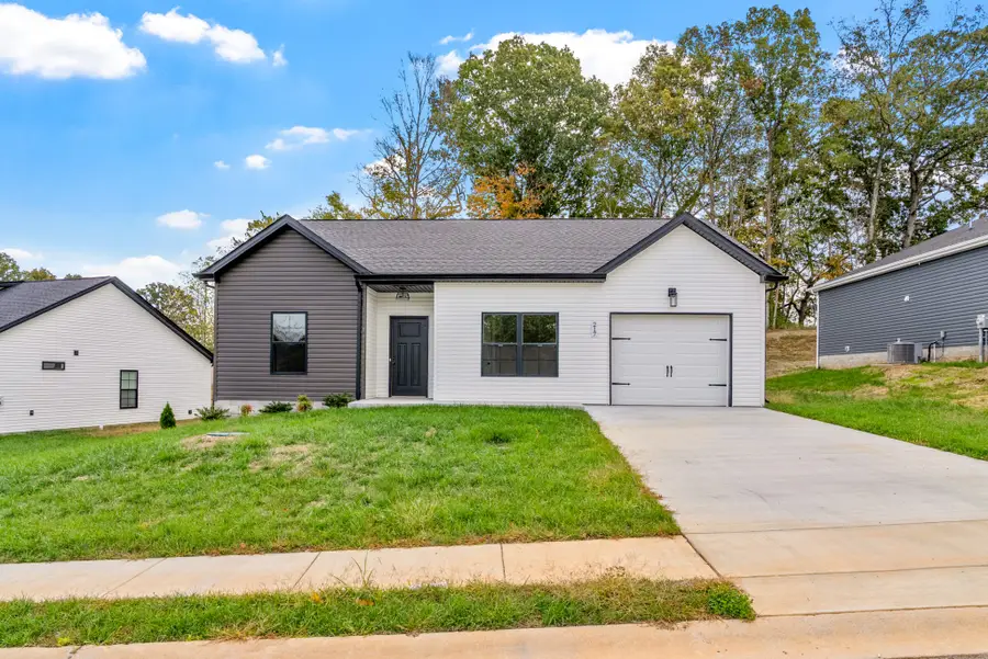 217 Wayne Hall Road, Clarksville, TN 37040 - #3