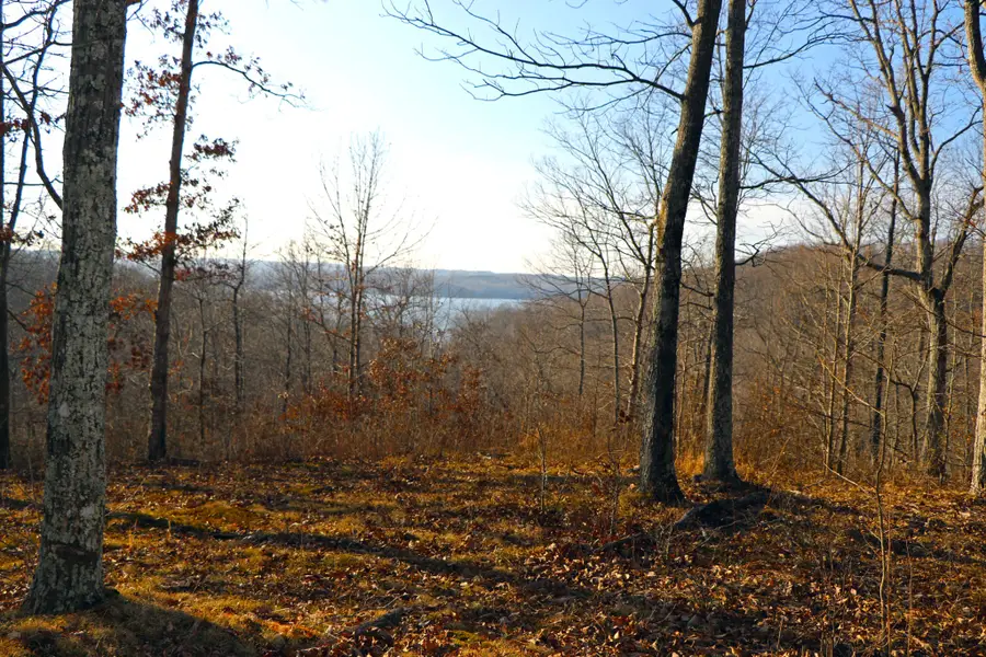 0 Ridge Top Rd, Stewart, TN 37175 - #3