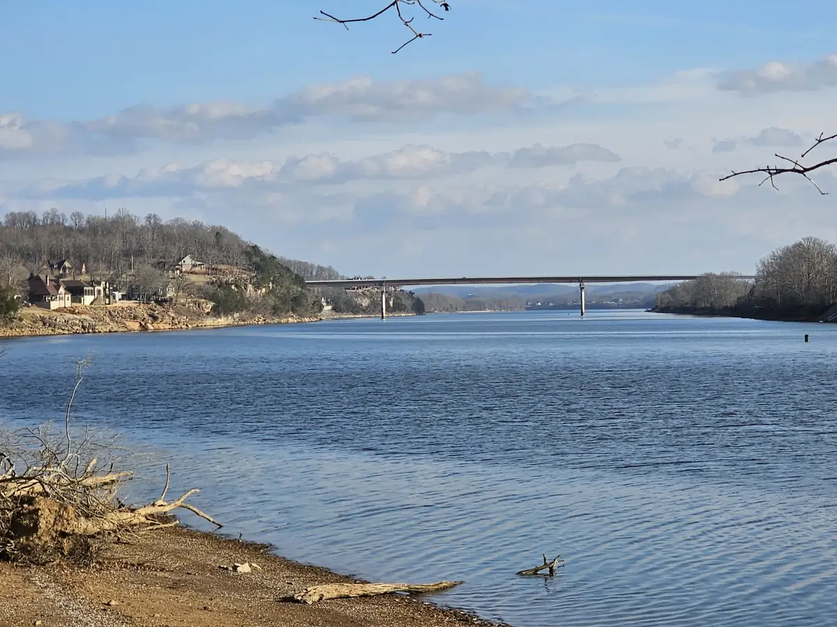 4 Island View Dr, Bath Springs, TN 38311 - Image #1