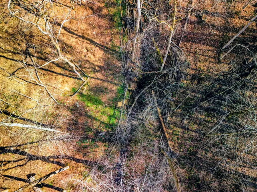 2400 Chicken Creek Rd, Pulaski, TN 38478 - Image #2