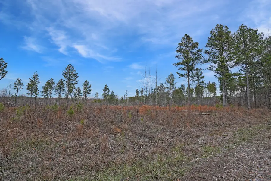 27 Shores Trail, Stewart, TN 37175 - Image #3