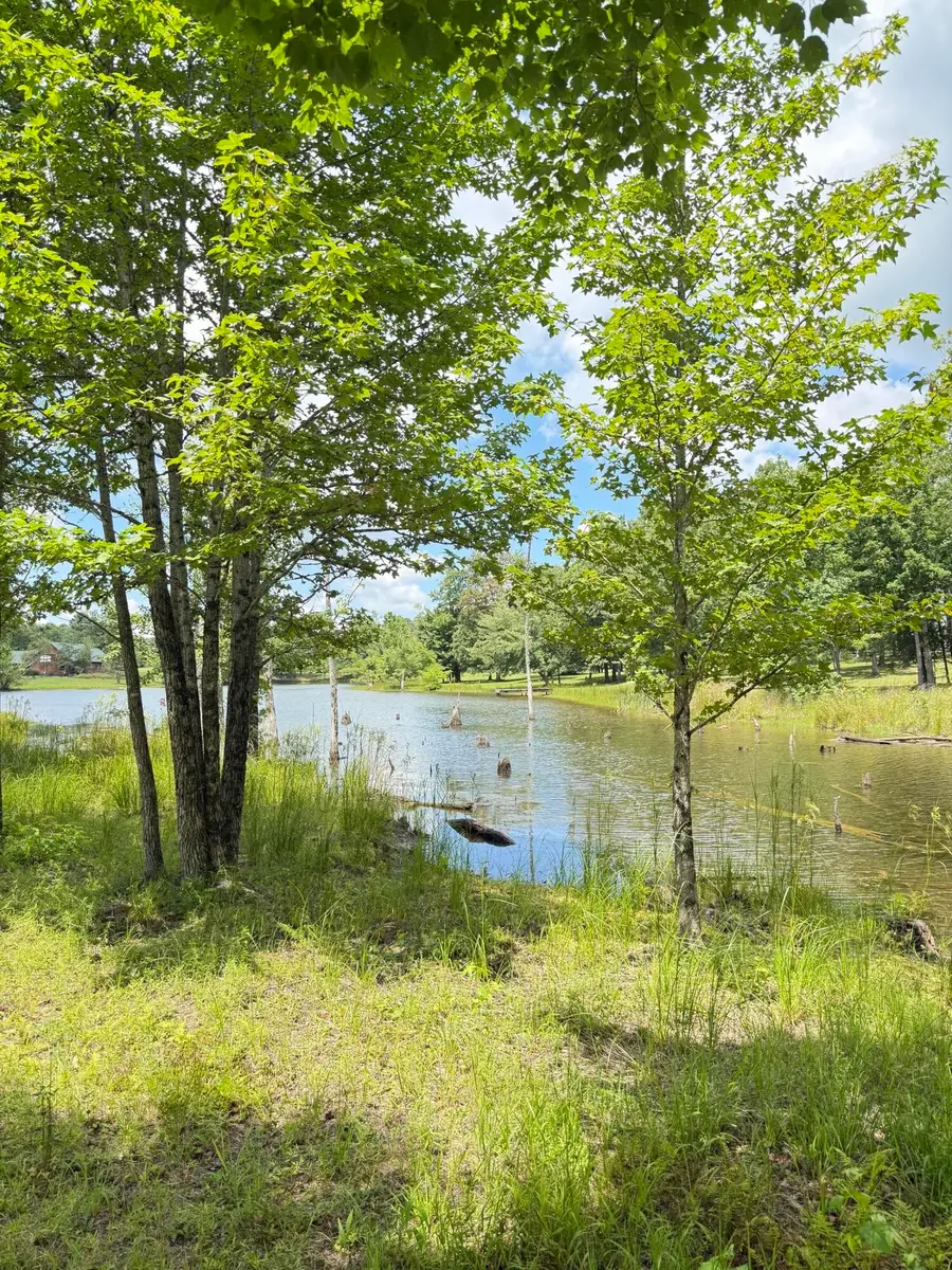 6 Greenfields Way N, Dunlap, TN 37327 - #2