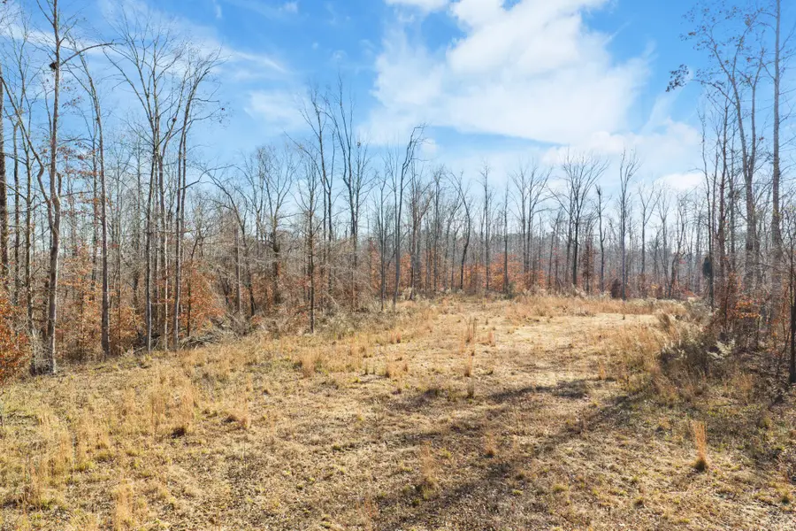 0 Holladay Rd, Parsons, TN 38363 - Image #2