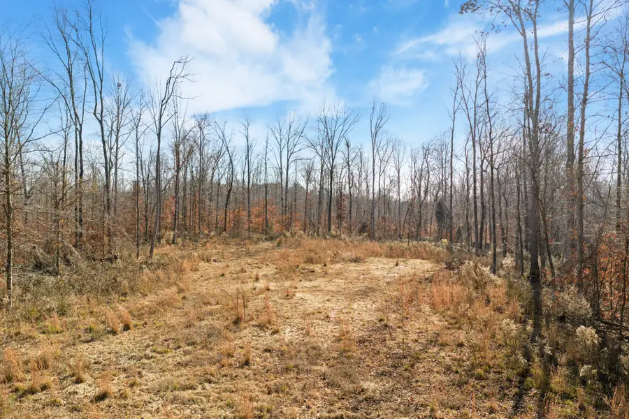 0 Holladay Rd, Parsons, TN 38363 - Image #3