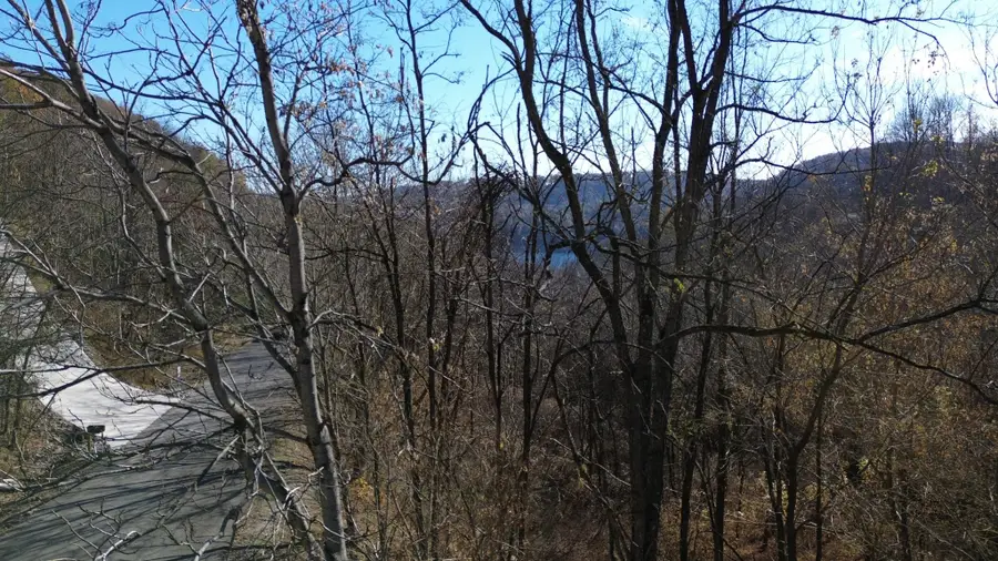 86 Blackberry Ridge Way, Smithville, TN 37166 - Image #3