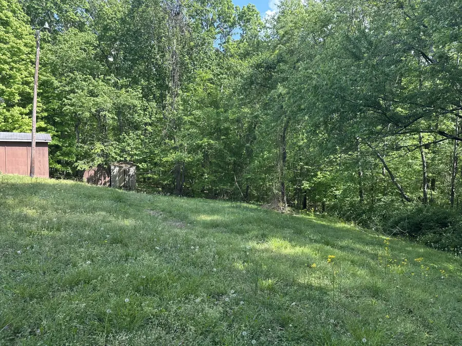 370 Wolfe Blvd, Erin, TN 37061 - Image #3