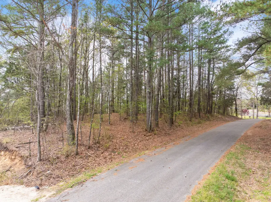0 Branch Loop, Big Sandy, TN 38221 - Image #2