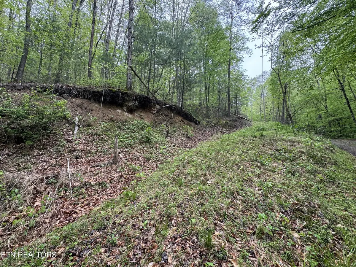 376 Summer House Hollow Rd, Del Rio, TN 37727 - #1