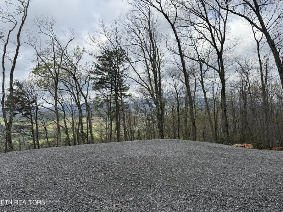 393 Green Forest Rd, Cosby, TN 37722 - Image #2