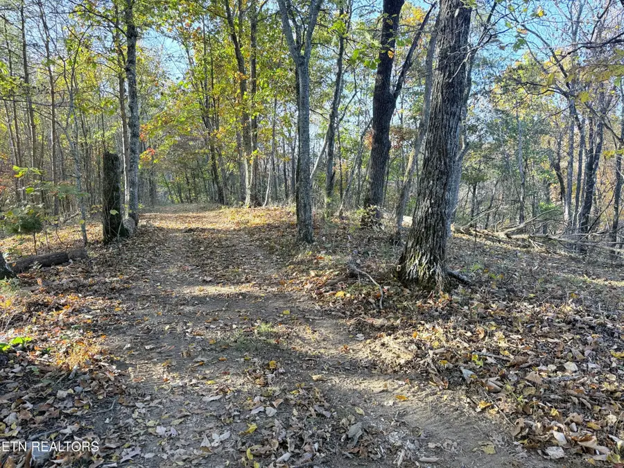 6 Topaz Way, Parrottsville, TN 37843 - Image #3