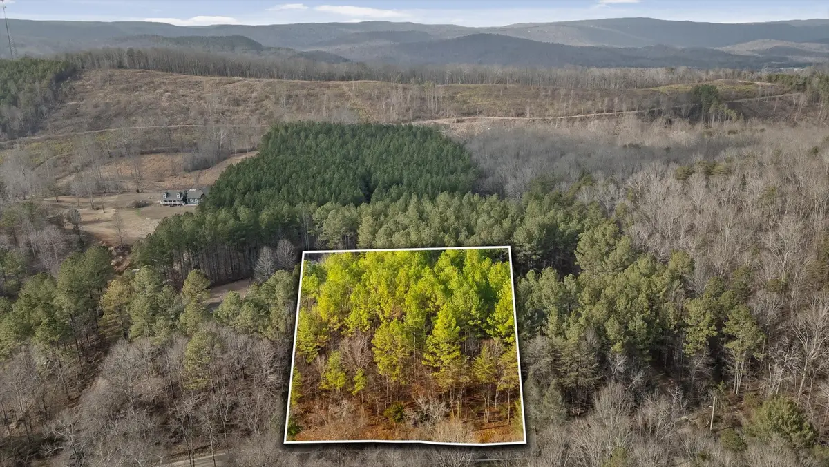 14675 Stormer Road, Bakewell, TN 37373 - Image #1