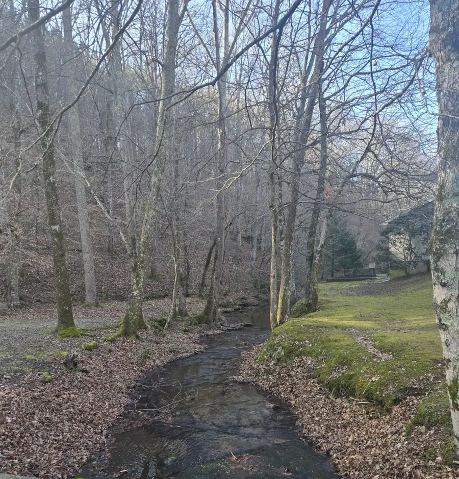 2130 Irwin Branch Rd, Waynesboro, TN 38485 - Image #3