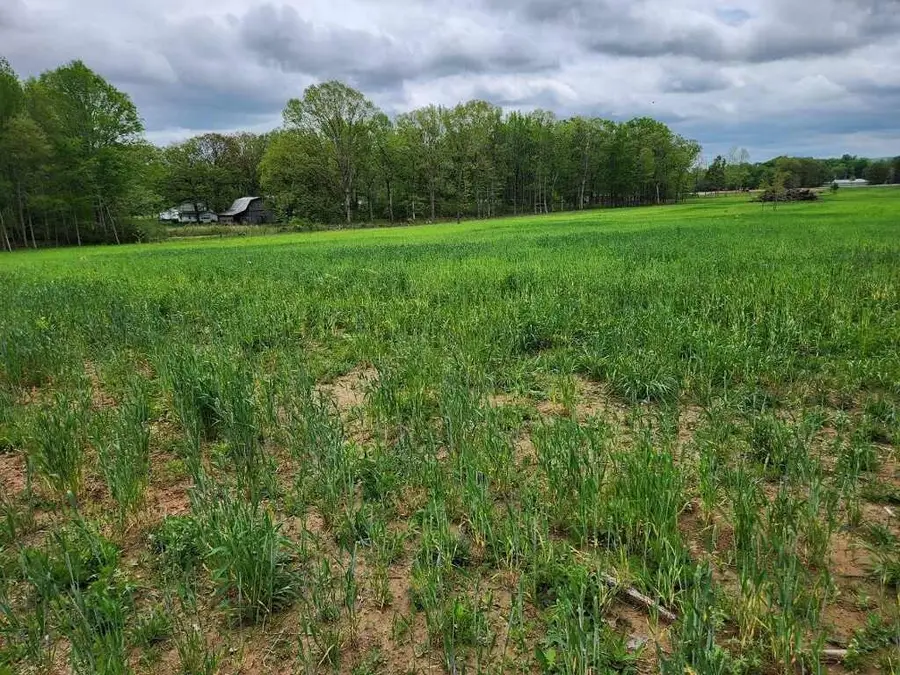 0 Indian Creek Rd, Huntland, TN 37345 - Image #3