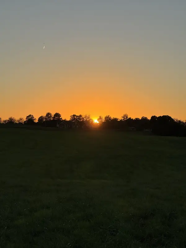 0 Woody Atkinson Road, Woodburn, KY 42170