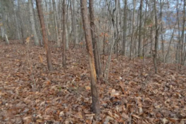 0 Garrett Town Lane, Monroe, TN 38573 - Image #3